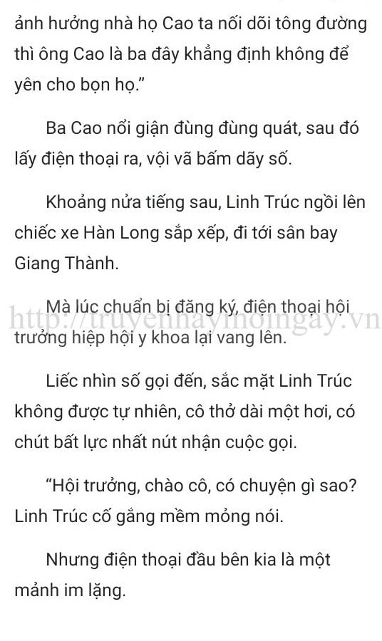 thần y ở rể