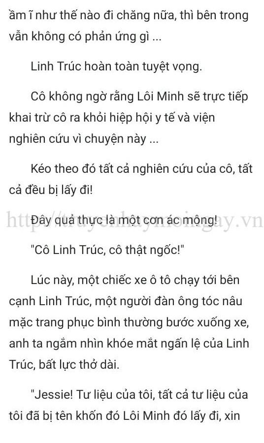 thần y ở rể