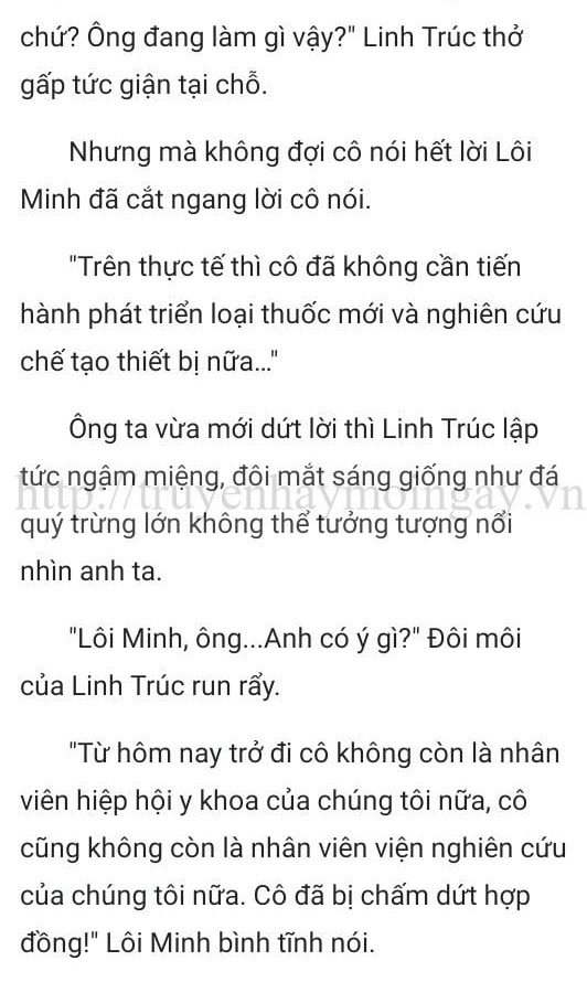 thần y ở rể