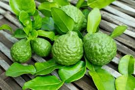 Kt quả hình ảnh cho cam bergamot