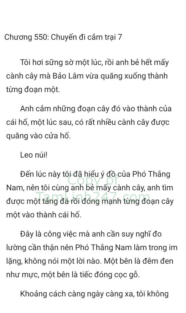 tong tai phu nhan co thai roi truyenhay.com