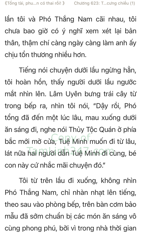 tong tai phu nhan co thai roi truyenhay.com