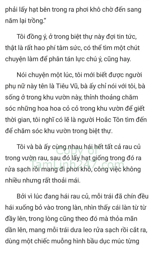 tong tai phu nhan co thai roi truyenhay.com