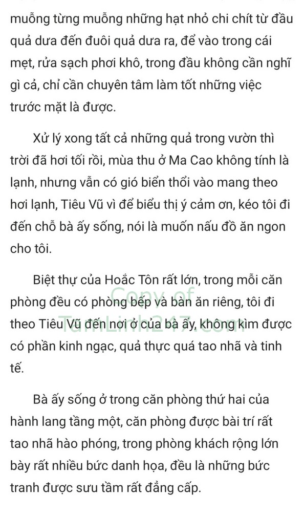 tong tai phu nhan co thai roi truyenhay.com