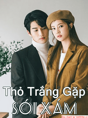 Thỏ trắng gặp sói xám