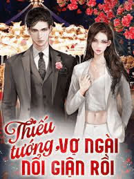 Thiếu tướng, vợ ngài nổi giận rồi - Nặc Kỳ Anh - Phó Quân Tiêu