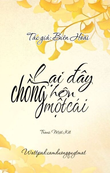 Lại Đây Chồng Hôn Một Cái - Biên Hoài