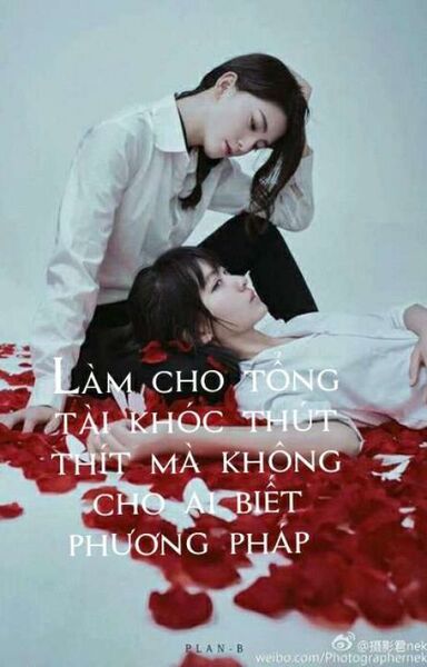 Làm Cho Tổng Tài Khóc Thút Thít Mà Không Cho Ai Biết Phương Pháp