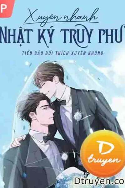 Xuyên Nhanh Nhật Ký Truy Phu