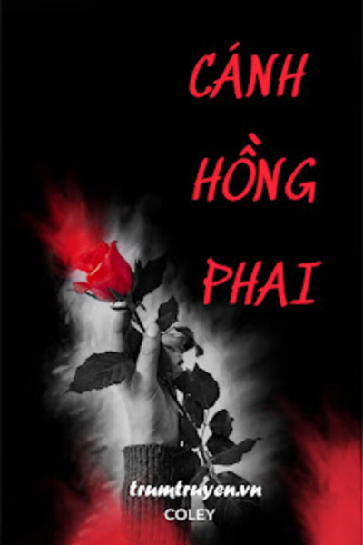 Cánh Hồng Phai