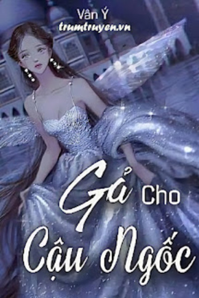 Gả Cho Cậu Ngốc