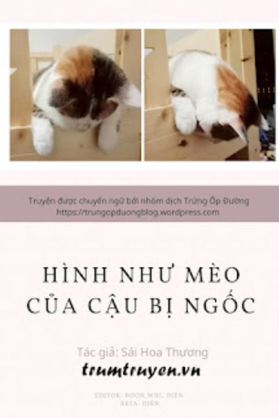 Hình Như Mèo Của Cậu Bị Ngốc