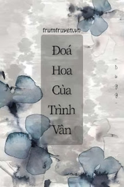 Đóa Hoa Của Trình Vân