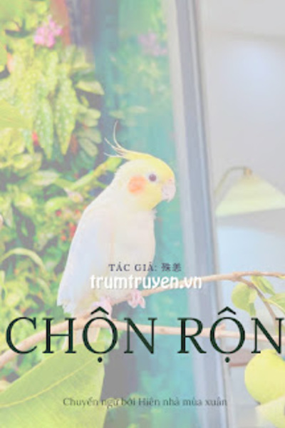 [Zhihu] Chộn Rộn