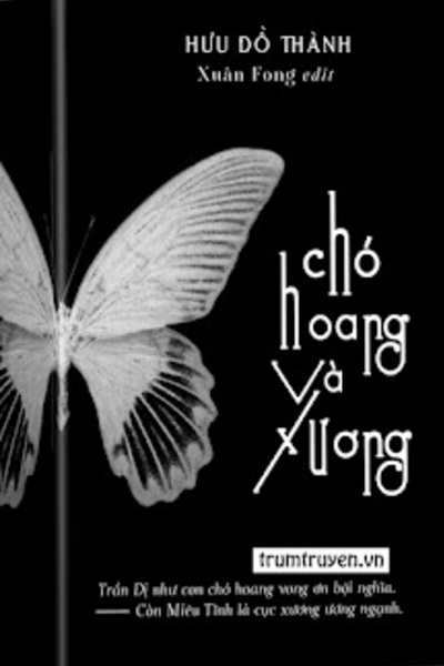 Chó Hoang Và Xương